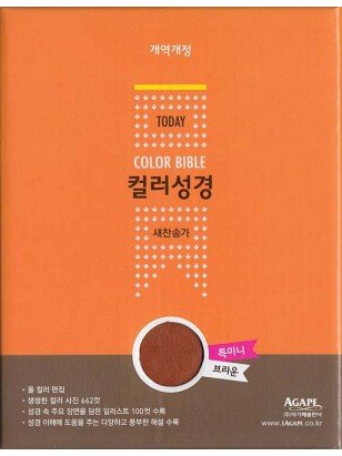 개역개정 투데이컬러성경&새찬송가 - 브라운