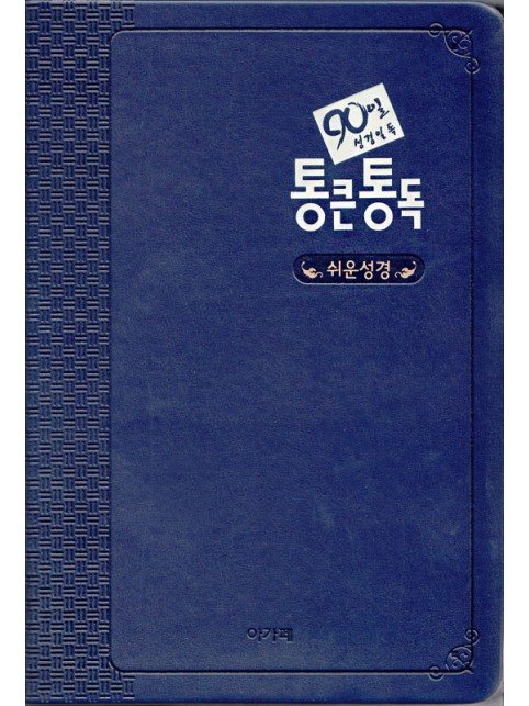 90일 통큰통독 쉬운성경판 - 네이비